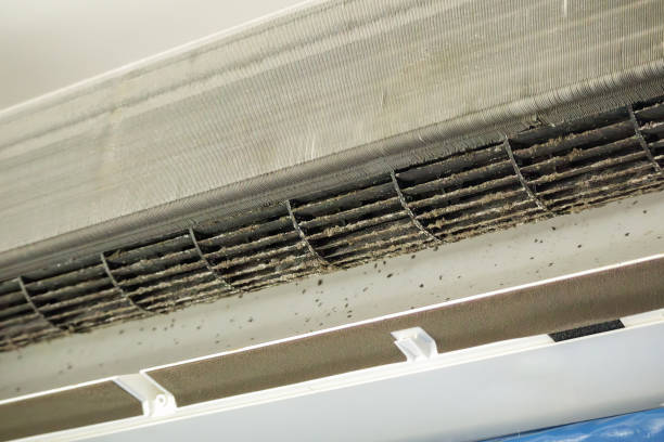 Best Professional Duct Cleaning Services  in Potomac, MD
